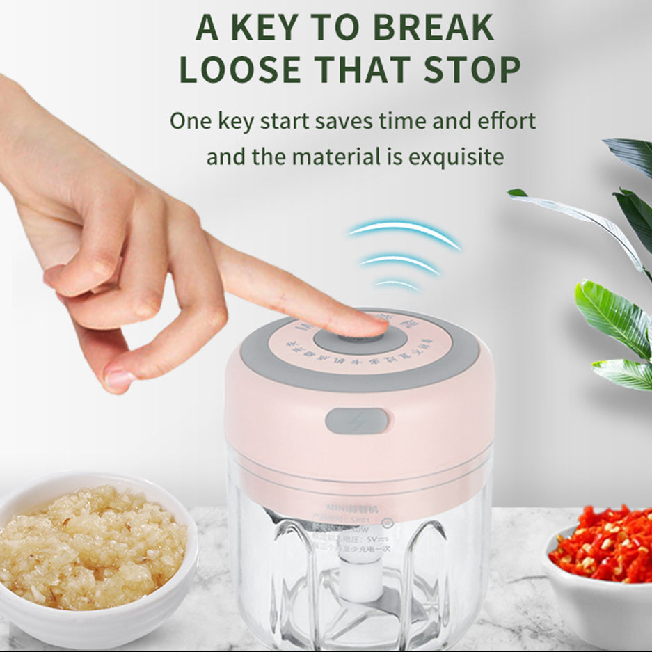 Portable rechargeable food chopper for small kitchens